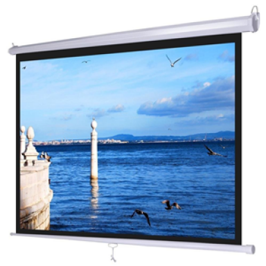 MÀN CHIẾU TREO PL170WS
